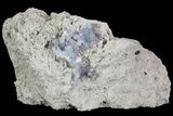 Purple/Gray Fluorite Cluster - Marblehead Quarry Ohio #81155-1